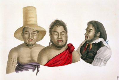 Portraits of Chiefs of the Sandwich Islands, from 